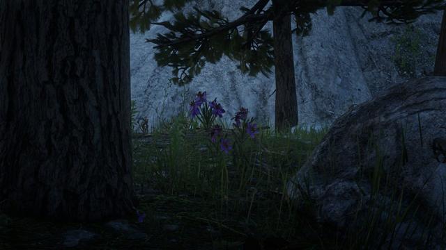 Dónde encontrar Harrietum Officinalis en Red Dead Online - Mejores ...